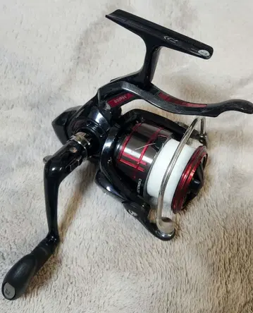 19 시그너스 CYGNUS 2500H-LBD