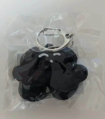 카네코 아야노 블랙 고양이 키링