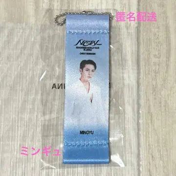 SEVENTEEN 플래그 키링 민규 패널 가챠