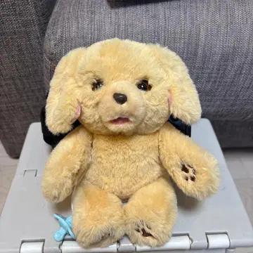 안아줘 넬른 복슬복슬 강아지