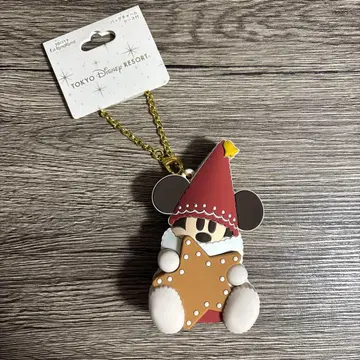 디즈니 리조트 크리스마스 릴린린 백참 케이스 포함