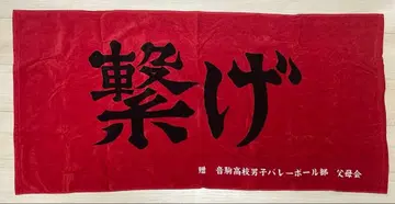 하이큐!! 가로막 빅 타월 10주년 네코마 고교