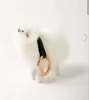 미니 쉽 참 키링 지네스