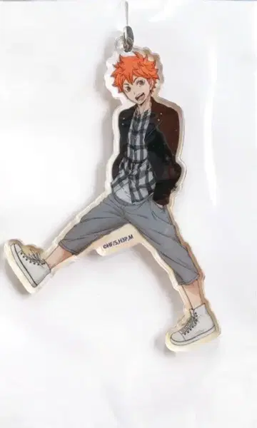 하이큐 PARCO 히나타 쇼요 아크링 키링