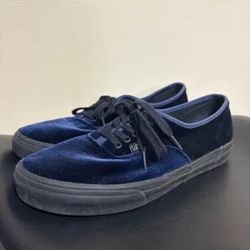 Vans United Arrows Authentic 벨로아