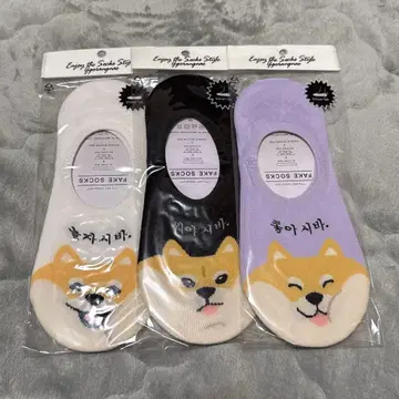 한국 시바견 양말