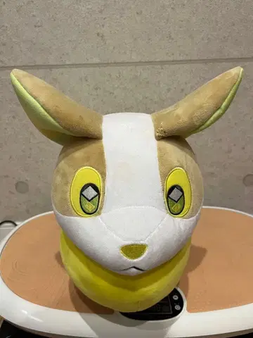 등신대 원파치 택 포함 흠집 있음 포켓몬 센터 코기