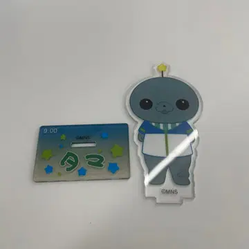 교육 방송 트레이딩 아크릴 스탠드 타마