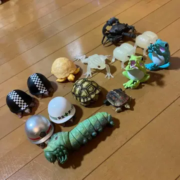 거북이, 개구리, 기타 다수, 가챠가챠