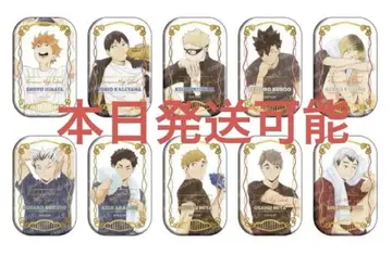 하이큐!! 스퀘어 캔 배지 세트 (쿨다운 판권) 10개입