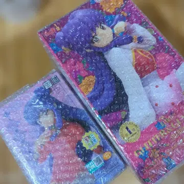 란마 샴푸 피규어 2체 세트 미개봉 새상품