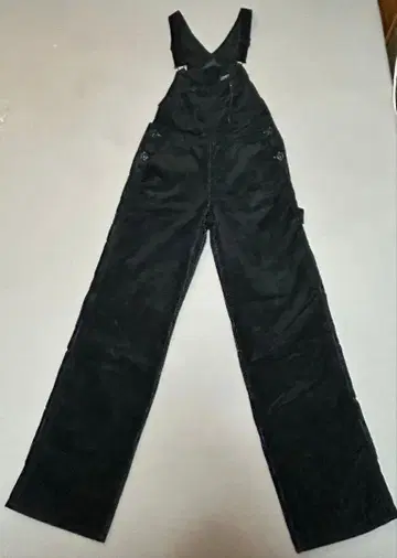 코디로이 살로펫