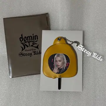 Stray Kids 필릭스 포가리 미니 부채 키링