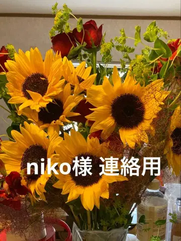 niko님 요청 2품 연락용