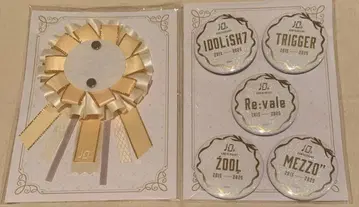 아이나나 10주년 앨범 특전 캔뱃지 로제트