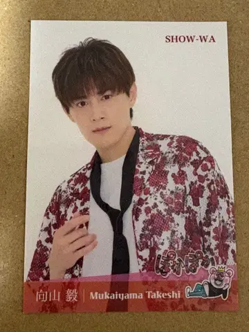 SHOW-WA 무카이야마 타케시 포카포카 스티커