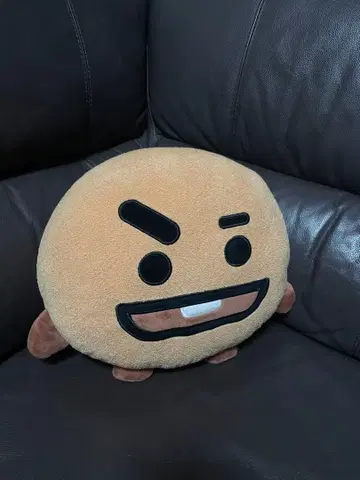 BT21 SHOOKY 쿠션 공식 굿즈