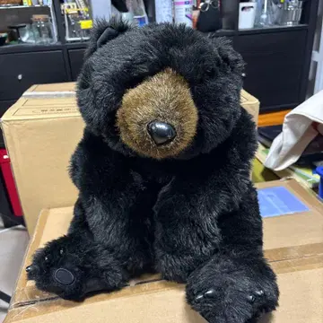 DITZ 곰 봉제 인형 허그베어