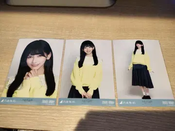 이케다 에이사 카라 부착 코디 브로마이드 컴프