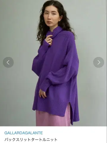 GALLARDAGALANTE 백 슬릿 니트 터틀 울