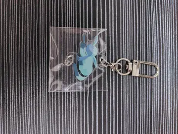 포켓몬 슬립 연결 아크릴 참 글레이시아