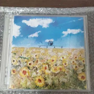 플라티나 해바라기