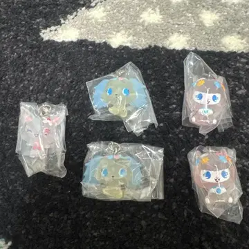 주얼펫 메지루시 액세서리 묶음 판매