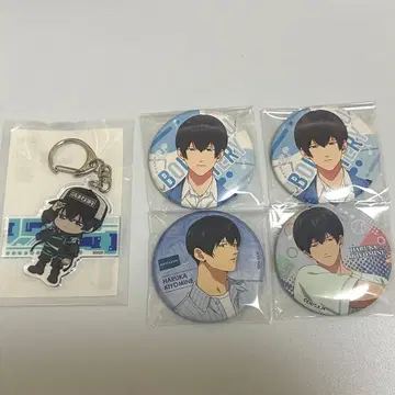 망각 배터리 청봉엽류화 캔뱃지 아크릴 키링