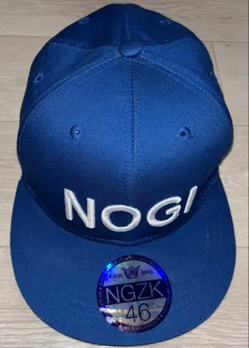 노기자카46의 캡