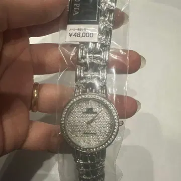 RAYMOND PIA 실버 시계