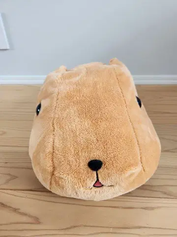 카피바라 카피바라 씨 봉제 인형 빅