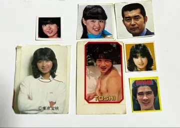 1980년대 아이돌 사진 7장 세트 (씰)