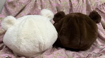 시마무라 곰 귀 베레모 브라운 화이트 2개 세트 아오키 미사코