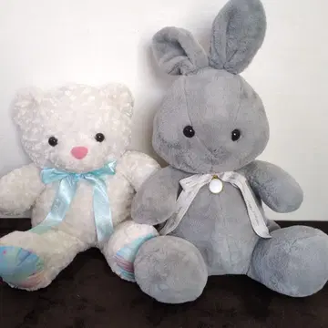 곰 토끼 6월 봉제 인형 세트