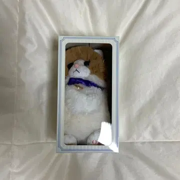 후지와라 이츠키 Healing MARS