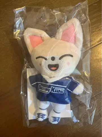 straykids 폭시니 백참 미개봉