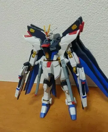 1/144 HG 스트라이크 프리덤 건담 완성품 상품 동시 300엔 할인