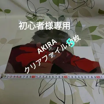 아키라 클리어 파일 5장