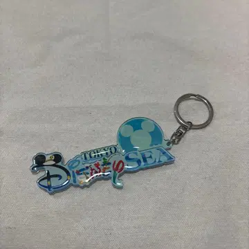 도쿄디즈니씨 키링