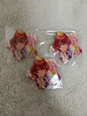 스타폴라 코에 캔뱃지