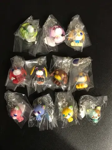 오차이누 초코 보로 풀 컴프