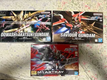 HG 건담 프라모델 3종 세트 M1 아스트레이 외