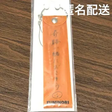 BUDDiiS 오가와 시키 펜 라이트 스트랩