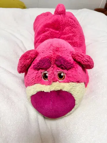 랏소 티슈 케이스