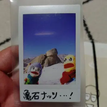 VTuber 포코피 폴라로이드