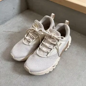 SOFTFOAM 화이트 스니커즈 골드 메쉬 24.5cm