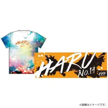초특급 하루 카시와기 유우 EVE 마스코트 T셔츠 타월 봉제 인형 의류