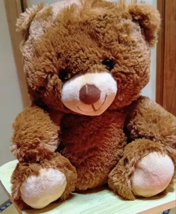 브라운색 곰 봉제 인형 중형