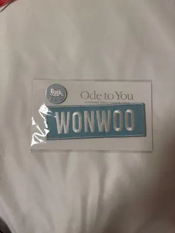 WONWOO Ode to You 핀 배지