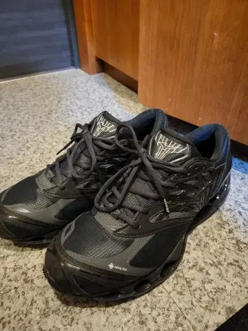 미즈노 웨이브 프로페시 LS GTX 블랙 28.0cm